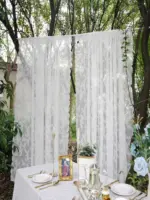 Voilage dentelle romantique blanc à nouer – vue 3